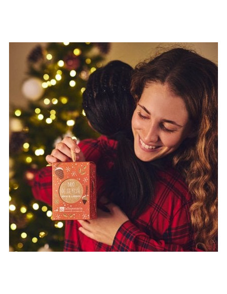 Lanterna Brio delle feste|La Saponaria|Wingsbeat