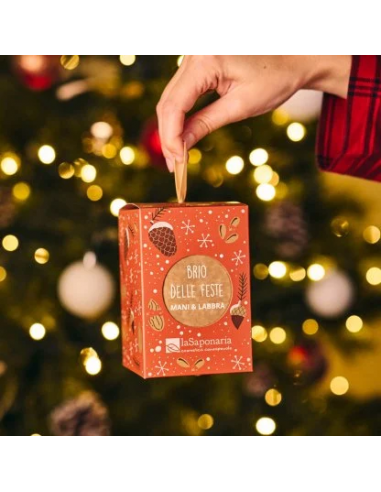 Lanterna Brio delle feste|La Saponaria|Wingsbeat