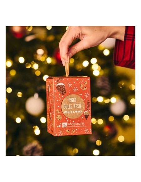 Lanterna Brio delle feste|La Saponaria|Wingsbeat