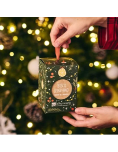 Lanterna Bosco d'inverno|La Saponaria|Wingsbeat 2