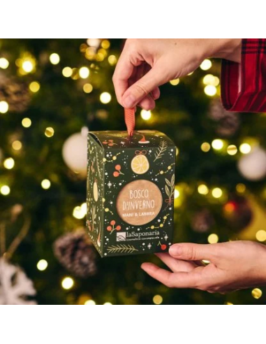 Lanterna Bosco d'inverno|La Saponaria|Wingsbeat