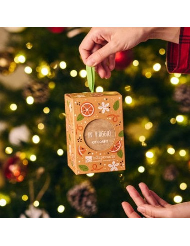 Lanterna in viaggio|La Saponaria|Wingsbeat