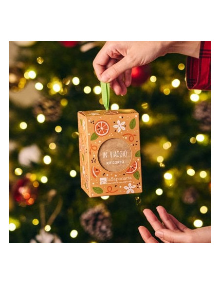 Lanterna in viaggio|La Saponaria|Wingsbeat