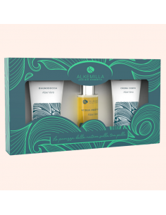 Box Aloe Vera Alkemilla | Wingsbeat