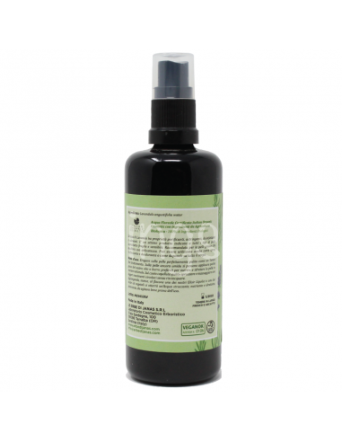 Acqua di Lavanda BIO Le Erbe di Janas | Acquista su Wingsbeat Acqua di Lavanda BIO Le Erbe di Janas | Acquista su Wingsbeat