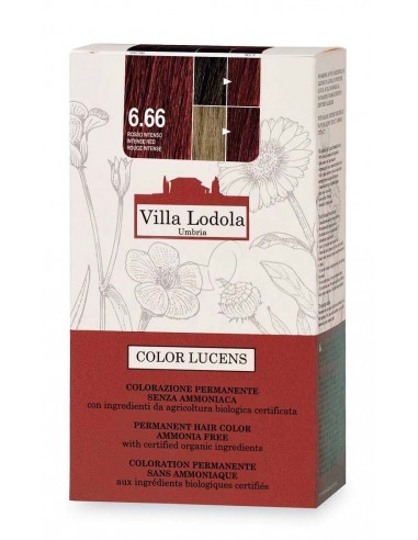 Tinta Color Lucens 6.66 Rosso Intenso di Villa Lodola - Wingsbeat