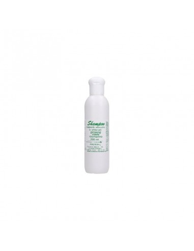 Shampoo per Capelli Secchi - Antos Cosmesi Naturale - Wingsbeat Shampoo per Capelli Secchi - Antos Cosmesi Naturale - Wingsbeat