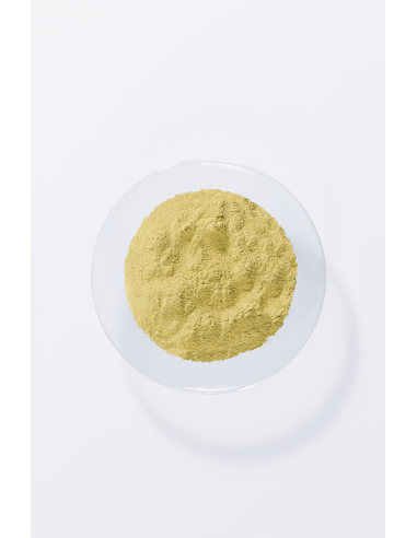 Tinta Vegetale - Biondo Dorato - Khadì - Wingsbeat