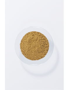 Tinta Vegetale - Henna, Amla & Jatropha - Khadì - Wingsbeat 2
