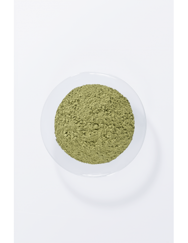 Tinta Vegetale - Indigo Puro | Khadì | Wingsbeat