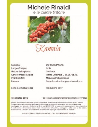 Kamala-michelerinaldi-wingsbeat Kamala-michelerinaldi-wingsbeat