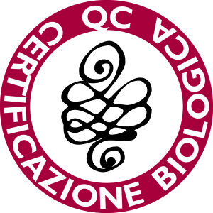 QC-Logo-.jpg